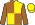 Silk Colours
