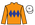 Silk Colours